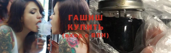 гидра Богородск