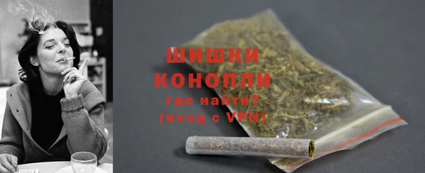 гидра Богородск