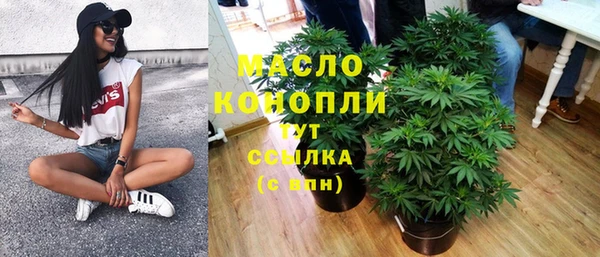 гидра Богородск