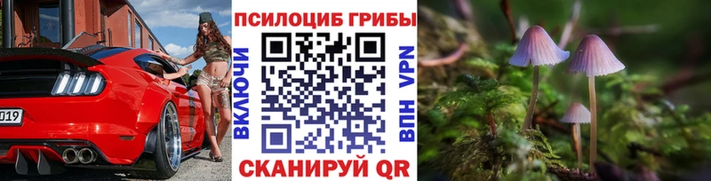 Купить  Шуя  Галлюциногенные грибы GOLDEN TEACHER 